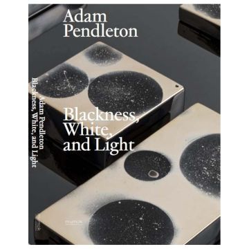 Adam Pendleton: Blackness, White and Light