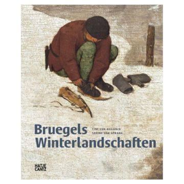 Bruegel's Winterlandschaften