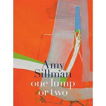 Amy Sillman