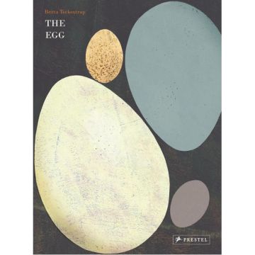 The Egg