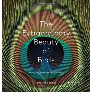 The Extraordinary Beauty of Birds