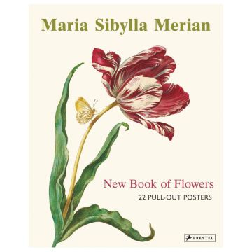 Pull-Out Posters: Maria Sibylla Merian