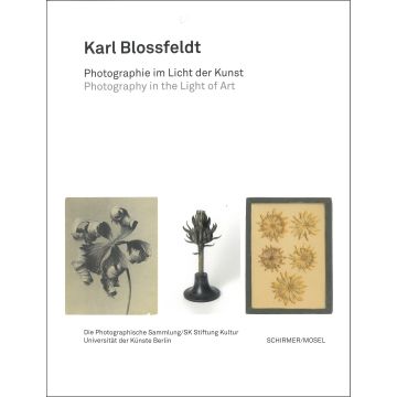 Karl Blossfeldt: Photography in the Light of Art