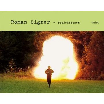 Roman Singer: Projektionen