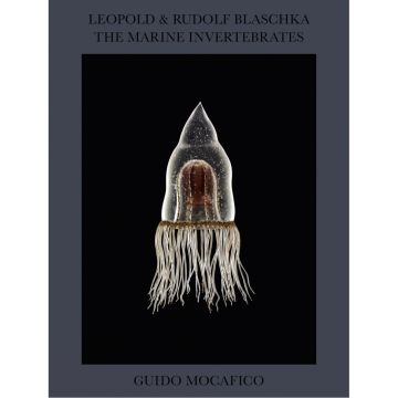 Guido Mocafico: Leopold & Rudolf Blaschka. The Marine Invertebrates