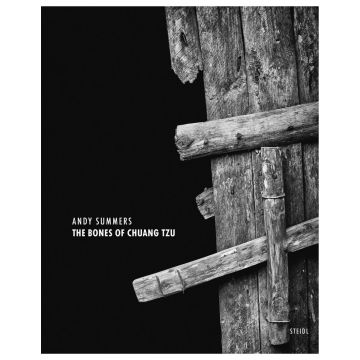 Andy Summers: The Bones of Chuang Tzu