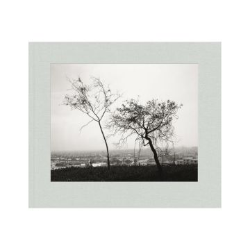 Robert Adams: Los Angeles Spring