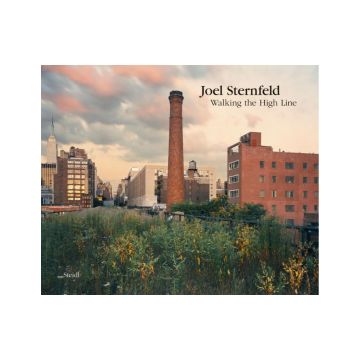 Joel Sternfeld: Walking the High Line