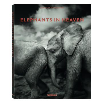 Elephants in Heaven