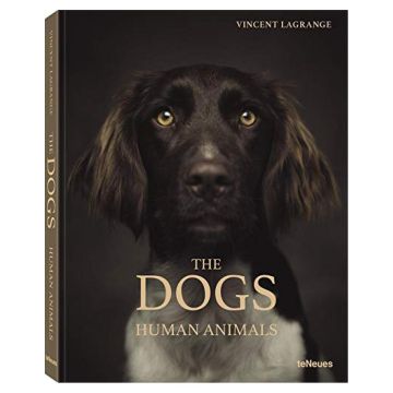 The Dogs: Human Animals