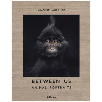 Between Us: Animal Portraits