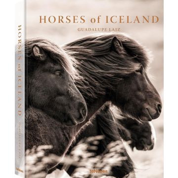 Horses of Iceland