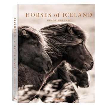 Horses of Iceland