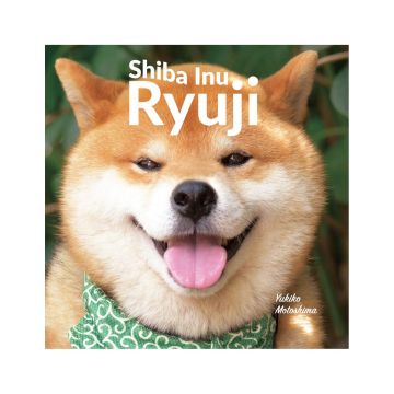 Shiba Inu Ryuji