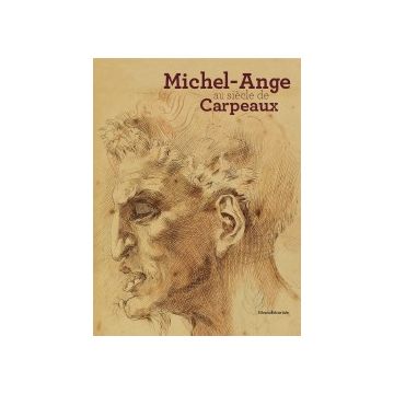 Michel-Ange au siècle de Carpeaux