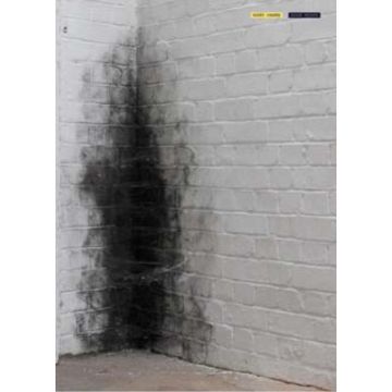 Anish Kapoor : Dirty Corner