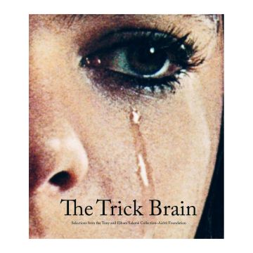 The Trick Brain