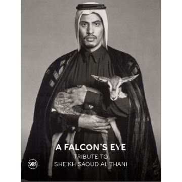 A Falcon’s Eye