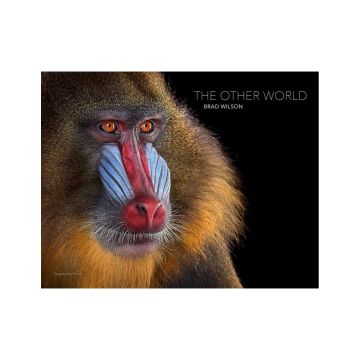 The Other World: Animal Portraits