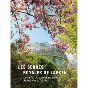 Les Serres Royales de Laeken