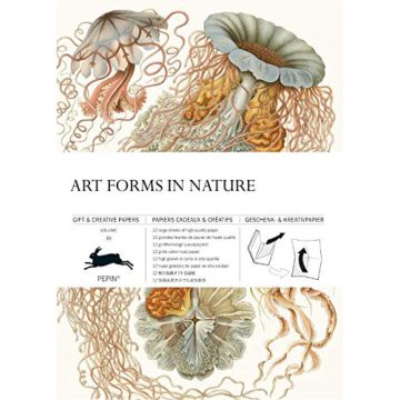 Art Forms in Nature  #83