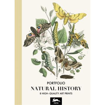 Art Portfolio: Natural History