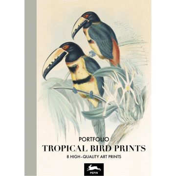 Art Portfolio: Tropical Birds