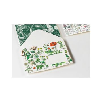 C6 Envelopes - Botanical