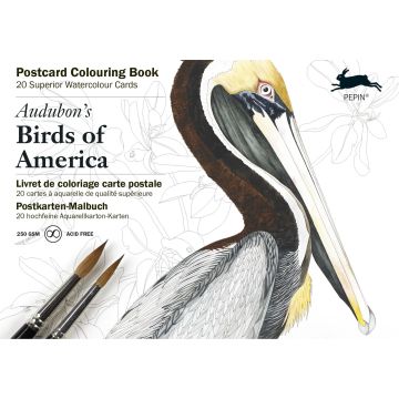 Audubon's Birds of America