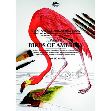 Giant Artists' Colouring Books: Birds of America