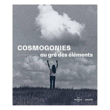 Cosmogonies