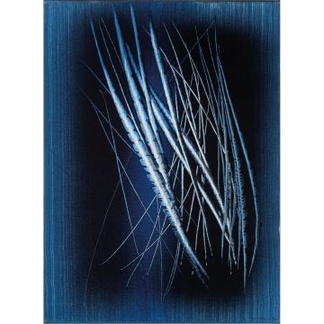 Hans Hartung