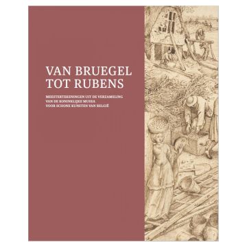 Van Bruegel tot Rubens Meestertekeningen