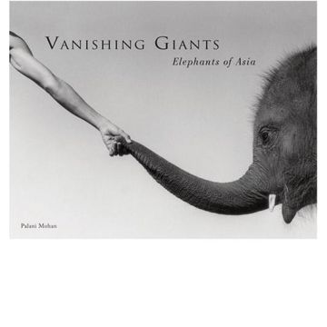 Vanishing Giants