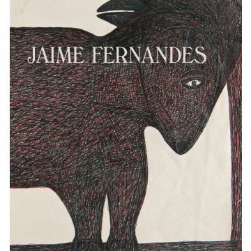 Jaime Fernandes