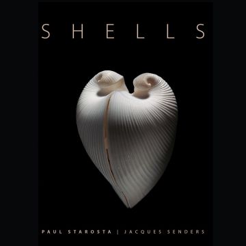 Shells